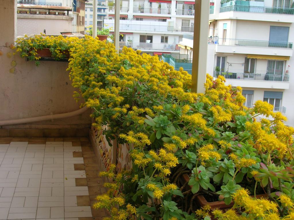 Palladium - Petite Maison De Charme Vintage Apartment Nice Exterior photo